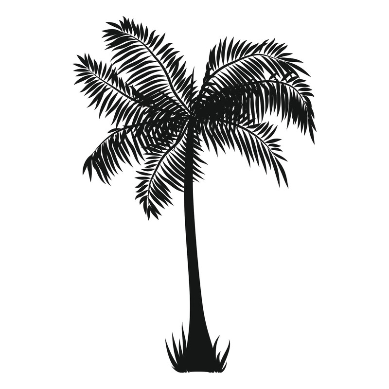 Palm trees4.jpg