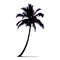 Palm trees12.jpg