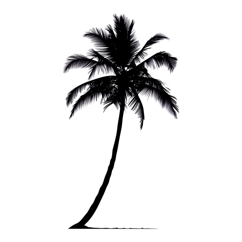 Palm trees12.jpg