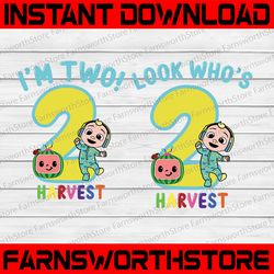 cocomelon personalized name and ages birthday svg png, cocomelon brithday png svg, cocomelon family birthday png