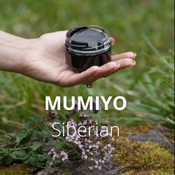 Siberian SHILAJIT Paste MUMIYO Natural purified Altai Gold from the highlands, 100 g