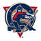 Edmonton Oilers4.jpg