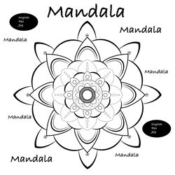 Mandala Spring Summer Flowers Floral decorations Craft design Personalized gift Digital downloads clipart