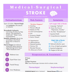 Medical Surgical NEUROLOGICAL | Nursing Bundle | PDF File | Pages 12