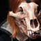 Bear skull mask (1).jpg
