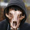 Bear skull mask (3).jpg