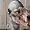 Bear skull mask (5).jpg