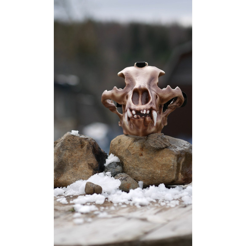 Bear skull mask (6).jpg