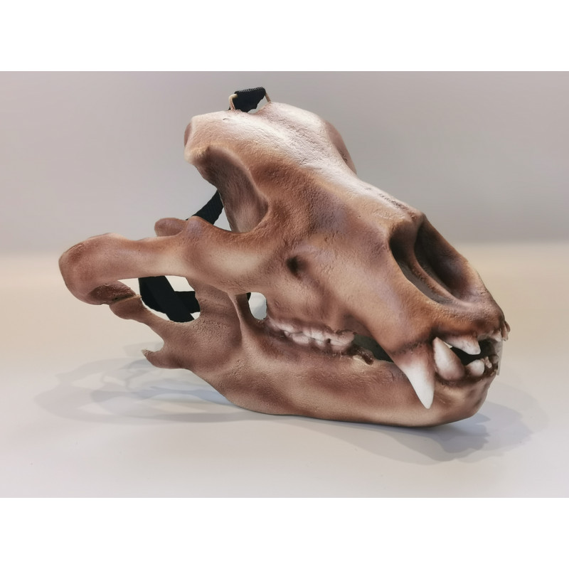 Bear skull mask (8).jpg
