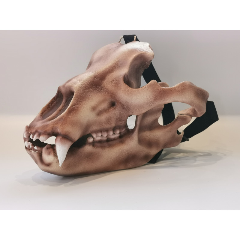 Bear skull mask (9).jpg