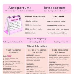 OB - Maternity Antepartum & Intrapartum | Nursing Bundle | PDF File | Pages 5