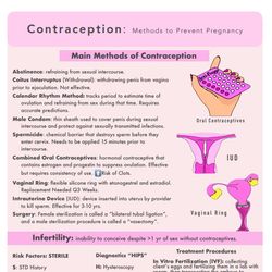 2024 OB - Maternity Contraception & Conception | Nursing Bundle | PDF File | Pages 4