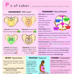 OB Maternity Labor 2024  | Nursing Bundle | PDF File | Pages 6