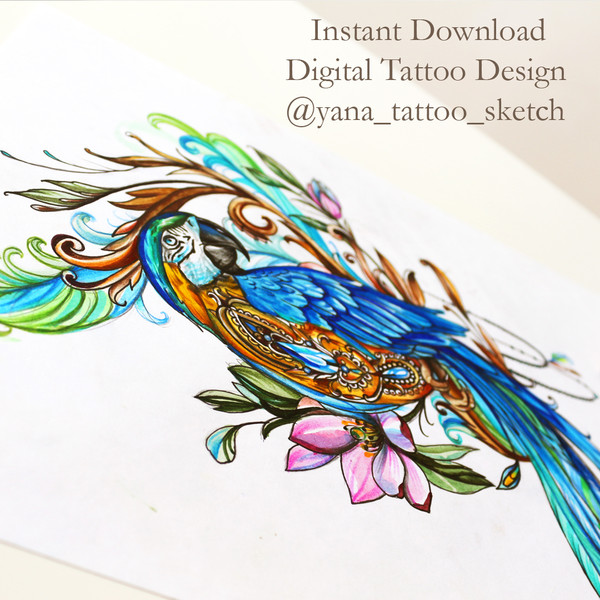 parrot-tattoo-design-colour-parrot-tattoo-sketch-parrot-and-flowers-tattoo-design-5.jpg