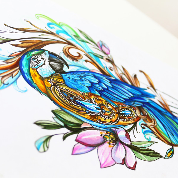 parrot-tattoo-design-colour-parrot-tattoo-sketch-parrot-and-flowers-tattoo-design-7.jpg