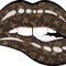 8.png