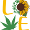 sunflower1.png