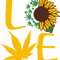 sunflower2.png