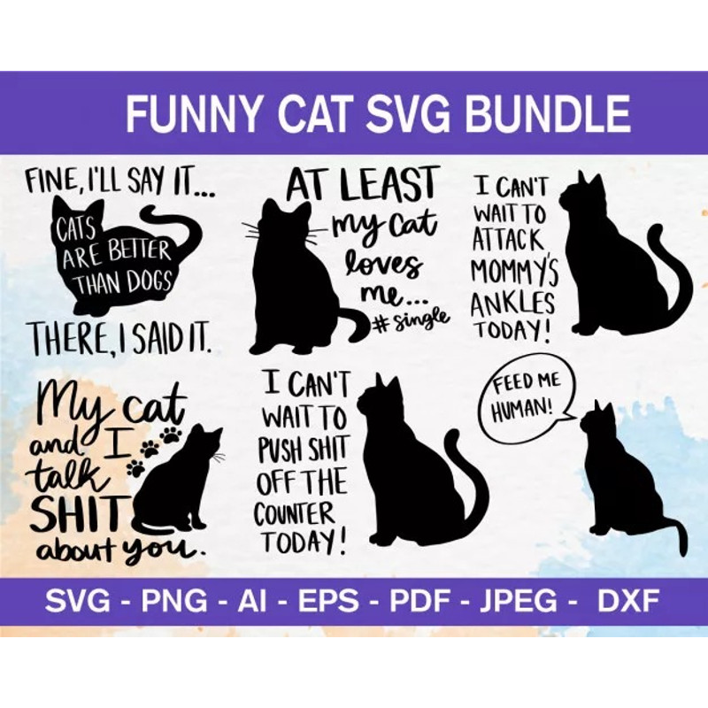 1-Cat-Svg-625x500.jpg