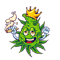 weed-08.png
