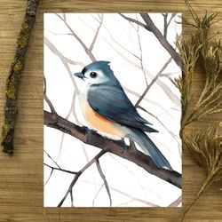 Titmouse painting, watercolor paintings, handmade home art birds watercolor tit painting by Anne Gorywine