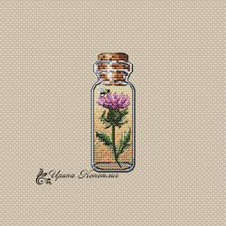 thistle cross stitch pattern, bottle cross stitch, summer cross stitch pattern, modern cross stitch pattern in pdf