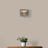 Plant_on_wooden_drawers (9).jpg