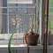 IMG_2895_4x5.jpg
