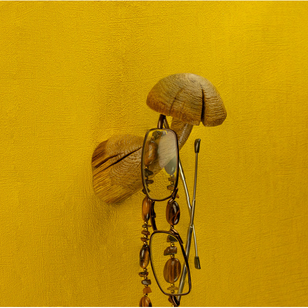 hook mushroom 2.jpg