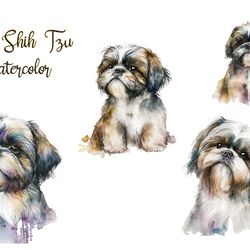 04 files of little shih tzu watercolor, animal png, animal lover png