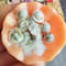miniature dumplings.jpg