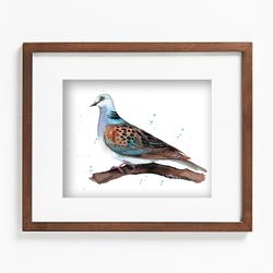 Birds dove painting, watercolor paintings, handmade home art bird watercolor pigeon painting by Anne Gorywine