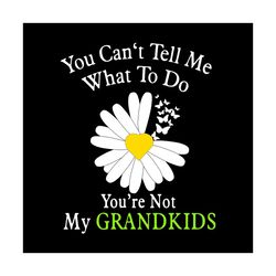 you cant tell me what to do youre not my grandkids, trending svg, grandkids svg, grandma svg, grandpa svg, family svg, g