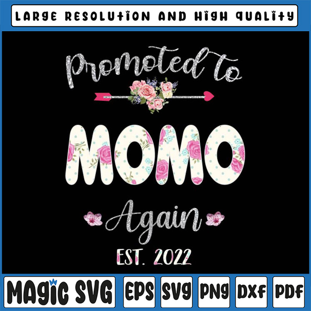 CV_MOH1091 PNG MOMO.jpg