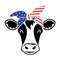 MR-artisticfull-in17082020-113202311339.jpeg