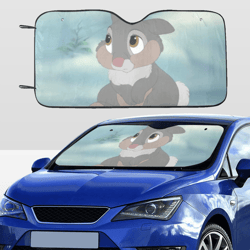 Thumper Car SunShade