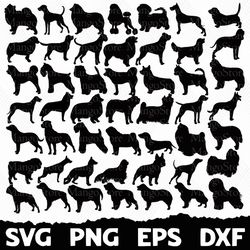 Dog Breed Silhouette Pack, Mega Bundle, Digital Download, Dog Breed SVG, Dog Silhouette svg, A-Z Dog Breeds dxf, Dog