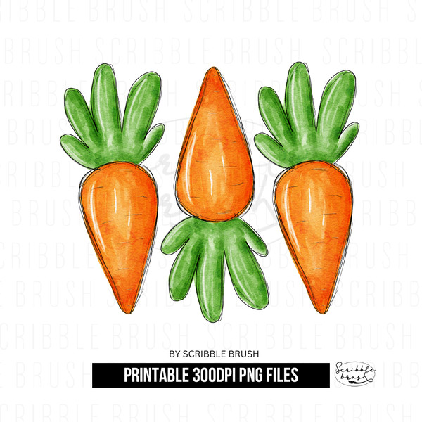 Watercolour Easter Carrots Sublimation PNG Design.png