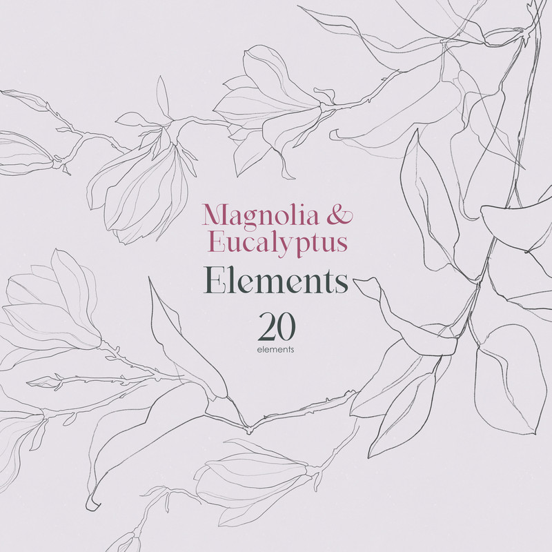 Magnolia and Eucalyptus. Graphic elements.jpg