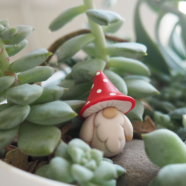 Mushroom gnome miniature figurine - red amanita muscaria  - Mini fairy garden 7.JPG