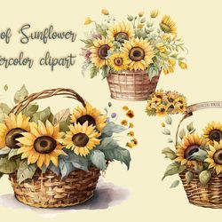 Basket Of Sunflower Watercolor Clipart