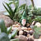 miniature gnome planter stick - Plant Pot Decoration 2.jpg
