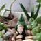 miniature gnome planter stick - Plant Pot Decoration 3.jpg