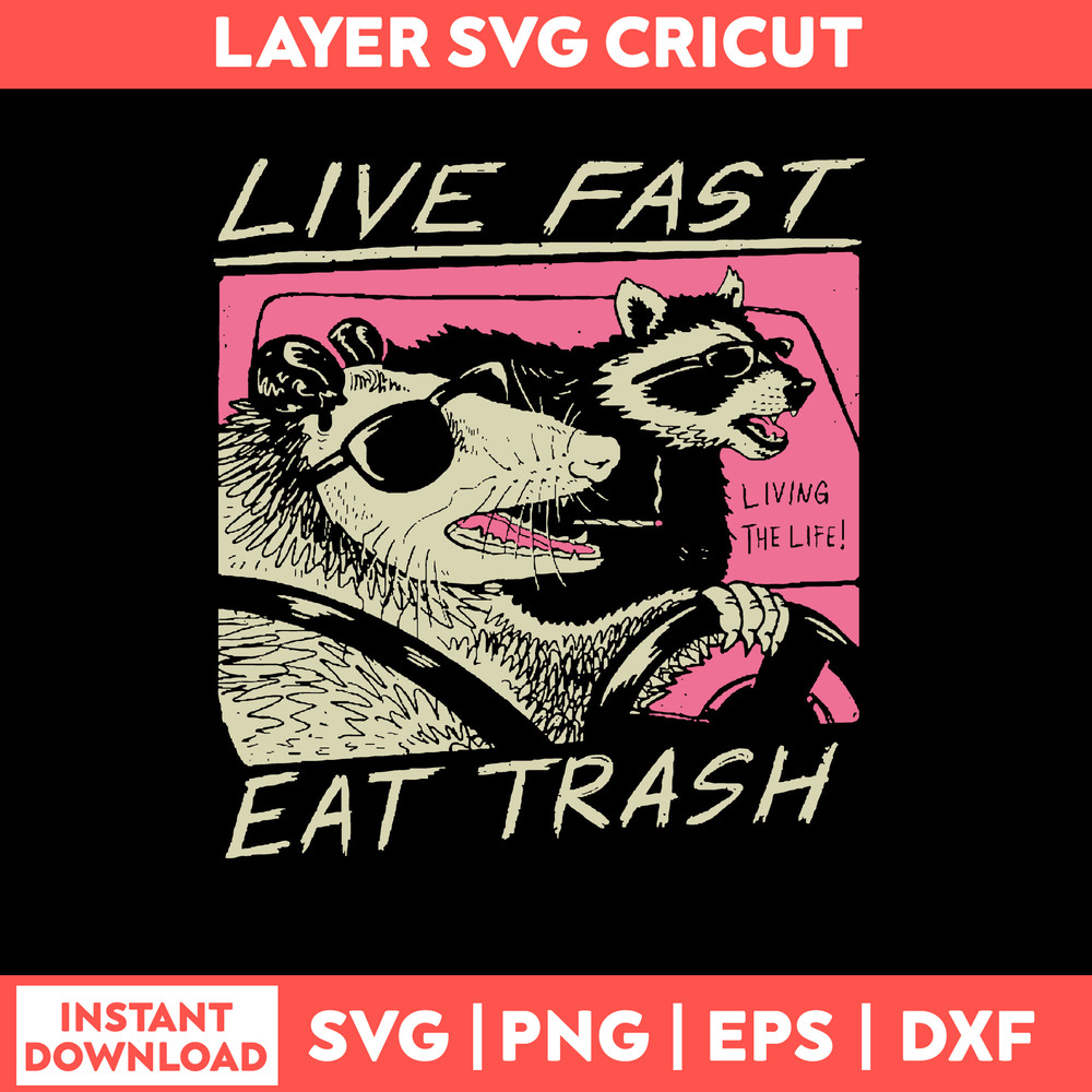 Live Fast Eat Trash Svg, Thrash Panda Svg, Funny Animal Svg, Png Dxf Eps File.jpg