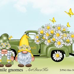 Chamomile truck, gnomes png, chamomile gnome