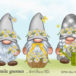 grey gnomes png, daisy gnome, chamomile clipart