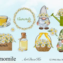 Chamomile clipart, chamomile gnomes, chamomile tea PNG