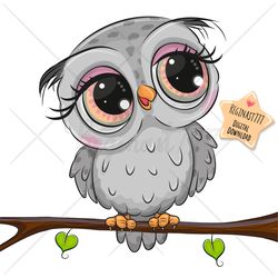 cute cartoon owl png, branch, clipart, sublimation design, adorable, print, clip art