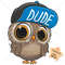 cute-cartoon-owl-with-cap.jpg