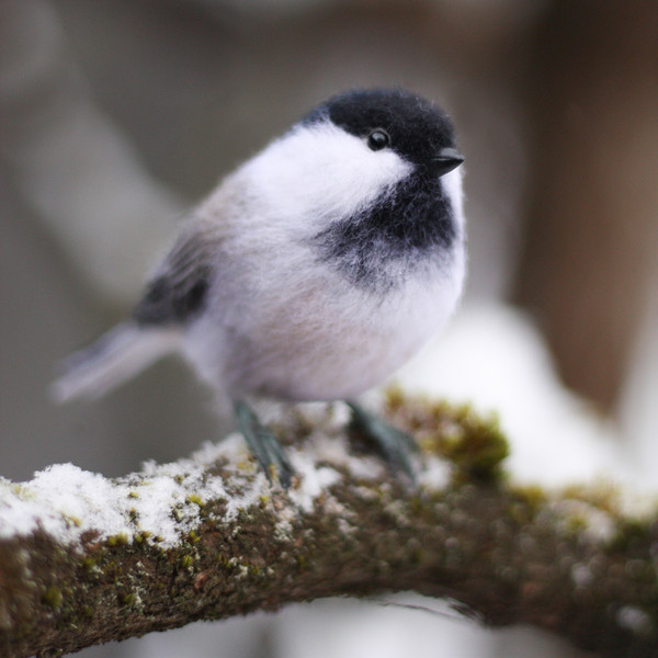 Felted realistic toy titmouse (2) копия.jpg